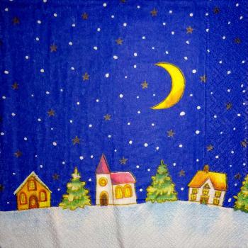074 Winterlandschaft (74)
