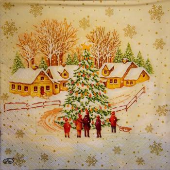 063 Winter -  - Paw