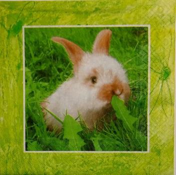 045 Rabbits:  natürlich - 3 ply - Paper Design