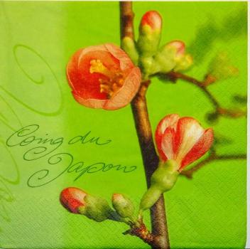 037 Blumen Sonstige - 3 lagig - ti-flair