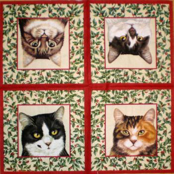 093 Cats - 3-ply (cream/Edge red) - Ihr