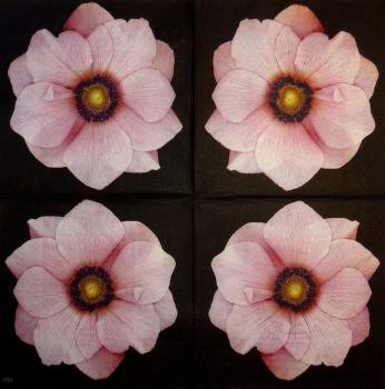 175 Anemones, Poppy - 3-ply (black) - Ihr