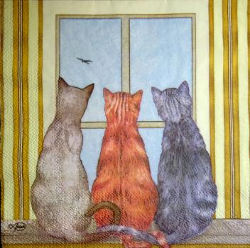 074 Katzen - 3-lagig (gold) - Ambiente