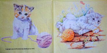 162 Katzen - 3-lagig  - Avec