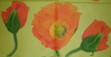 019 Anemones, Poppy