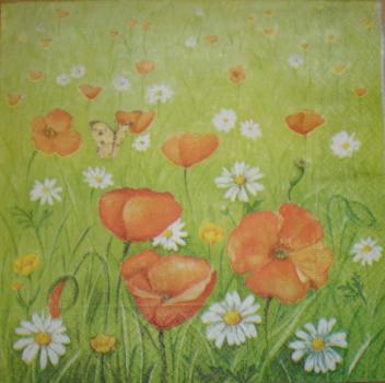 022 Anemones, Poppy - 3-ply