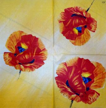 026 Anemones, Poppy - 3-ply (yellow) - Ihr