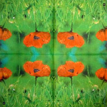 176 Anemones, Poppy - 3-ply - ppd - Andrea Tilk