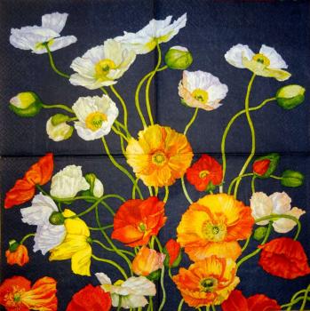 048 Anemones, Poppy - 3-ply (black) - Home Fashion