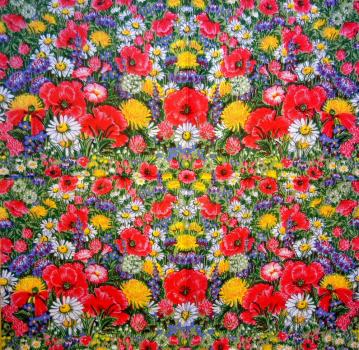 066 Anemones, Poppy - 3-ply - Fasana