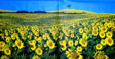 071 Sunflowers - 3-ply