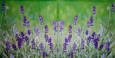 044 Lavendel - ppd - frog art