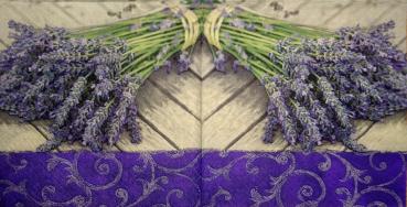 050 Lavendel - Paw