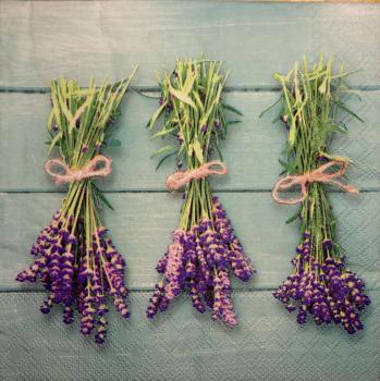 051 Lavender - Ambiente