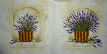 056 Lavendel (creme) - Paw