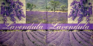060 Lavender - Colourful Life