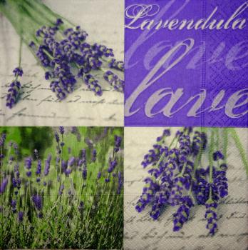063 Lavendel - Paper Design