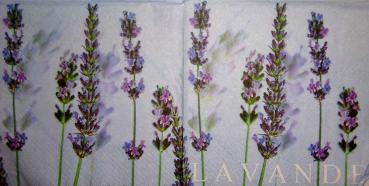 064 Lavender - 3-ply