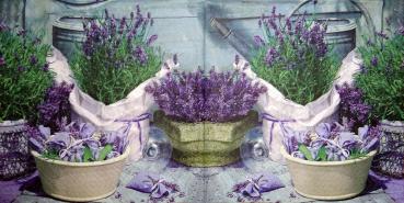 076 Lavender - Paper Design