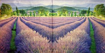 077 Lavendel - Paw