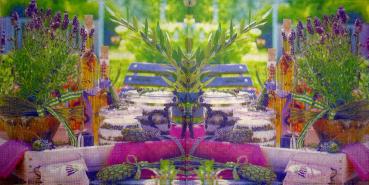 081 Lavender - ppd - stockfood