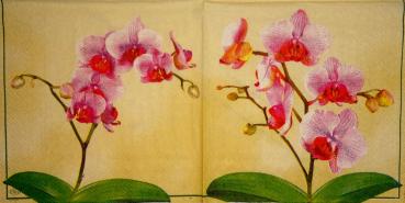 027 Orchids - 3-ply (yellow) - Ihr