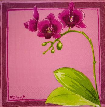032 Orchids - 3-ply (purple) - F.Chandy