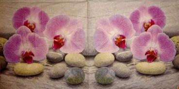 041 Orchids - Paper Design - CS