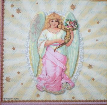 132 Angel - Ambiente