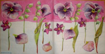 001 Stiefmütterchen, Violet (pink) - MOLCA