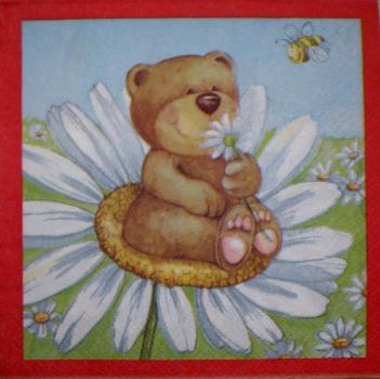 003 Teddy
