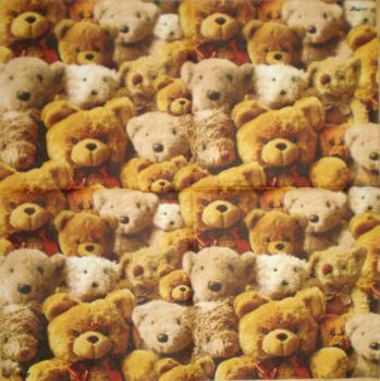 026 Teddy - 3-ply - Stewo