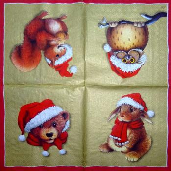 031 Teddy - 3-ply (gold) - Ihr - Patrick Heinike