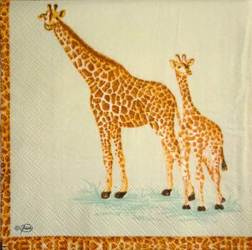 001 Giraffe - 3-lagig - Ambiente