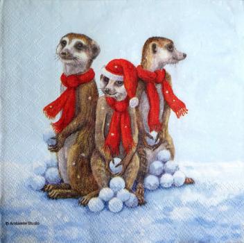 114 Animals Africa: Divers - 3-ply - Erdmännchen - Ambiente
