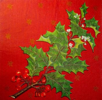 010 Christmas Flowers