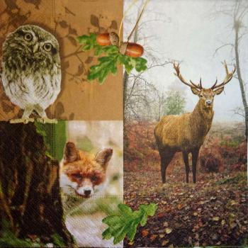 028 Tiere Herbst - Paper Design