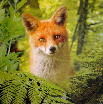 030 Animals Autumn - Home Fashion