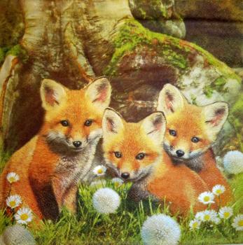 033 Animals Autumn - Ti-Flair