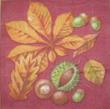 006 Autumn