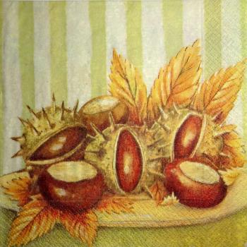 013 Autumn - 3-ply (bright)