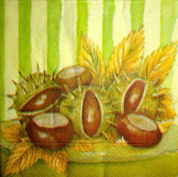 013 Autumn (dark)