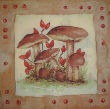 016 Autumn
