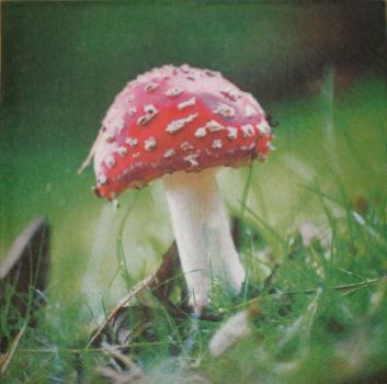 024 Herbst