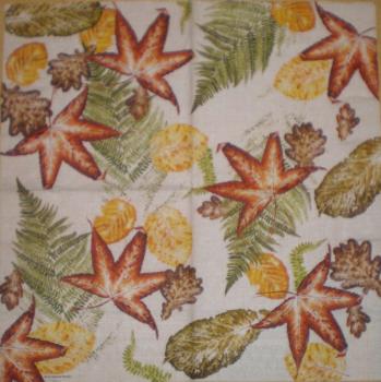 030 Herbst - Ambiente