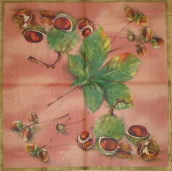 035 Herbst (apricot) - Ihr