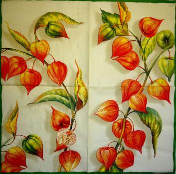 054 Herbst - 3-lagig (creme) - Ihr