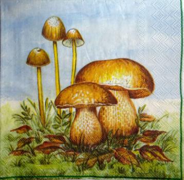 057 Autumn - 3-ply - Ambiente