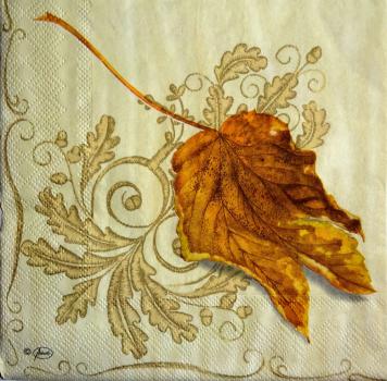 062 Autumn - 3-ply - Ambiente