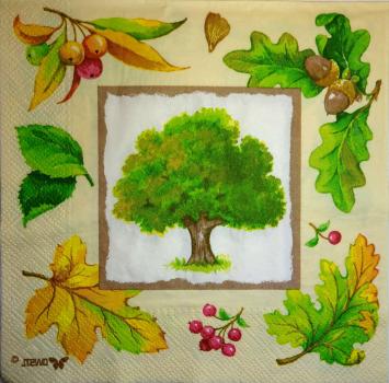 069 Herbst  - Stewo